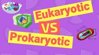 Difference Between Prokaryotic and Eukaryotic Cells [upl. by Aicen959]