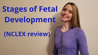 THE STAGES OF FETAL DEVELOPMENT  NCLEX REVIEW [upl. by Priestley]