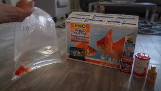 GOLDFISH ONLY AQUARIUM SETUP [upl. by Borek]