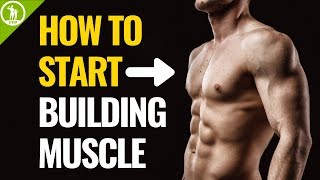 How To Start Building Muscle For Beginners [upl. by Notnerb]