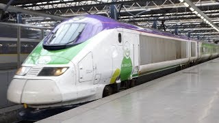 Trains in Belgium Thalys TGV amp Izy services at Brussels MidiZuid Station [upl. by Arreis]