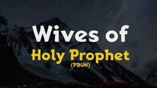 How many Wives did Holy Prophet PBUH have [upl. by Dorrahs612]