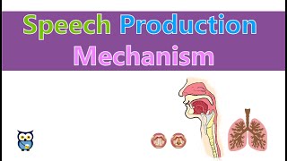 Speech Production Mechanism [upl. by Eelrebmyk]