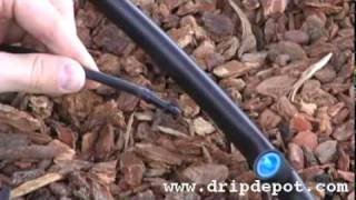 Drip Irrigation Systems How to install Pressure Compensating Button Drippers [upl. by Ahseki]