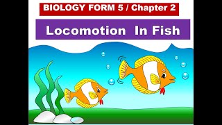 Biology Form 5 Chapter 2 21 Locomotion In Fish [upl. by Gottfried]