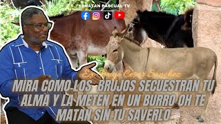 EXBRUJO CESAR SANCHEZ  MIRA COMO LOS BRUJOS SECUESTRAN TU ALMA Y LA METEN EN UN BURRO OH TE M4T4N [upl. by Ahern532]