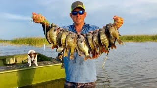 Monster Lake Okeechobee Bluegills Catch Clean Cook BlueGabe episode 1 [upl. by Ecienaj]