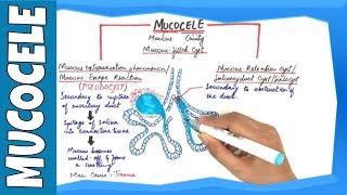 Whats Cervical Mucus The Cervical Mucus Project [upl. by Damaris]