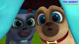 Puppy Dog Pals Hissys Big Day Episode 24  Tia Hardy [upl. by Dahle]