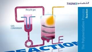 Polypropylene PP Production Process Overview [upl. by Correy]