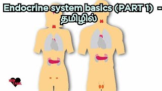 endocrine system in tamil PART1 MED TAMIL [upl. by Hodosh]