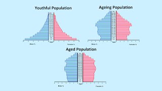 How to Read a Population Pyramid [upl. by Ezzo265]