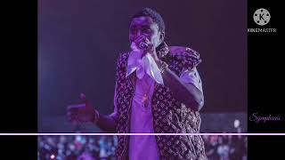 Wally B Seck Live 2021 Gambia Syphonie mp4 [upl. by Niroc]