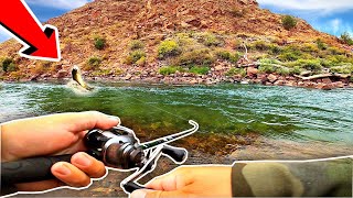 Ive NEVER Witnessed ANYTHING Like This while Fishing [upl. by Salvucci36]