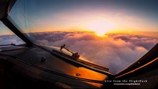 Live from the Flight Deck [upl. by Shela290]