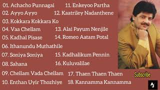 Udit Narayan Tamil Hits  All Time Favourite  Udit Narayan Tamil Songs Collection  Audio Jukebox [upl. by Guenna617]