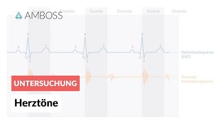 Physiologische Herztöne  AMBOSS  Video [upl. by Hcib503]