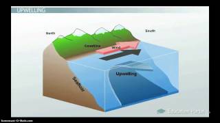 Ocean Circulation Patterns amp Effect on Climate [upl. by Kesia899]