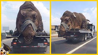 O fim dos DINOSSAUROS e o INÍCIO DOS SERES HUMANOS [upl. by Onairpic]