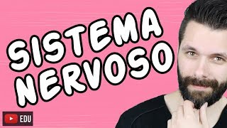 SISTEMA NERVOSO  FISIOLOGIA  Aula  Biologia com Samuel Cunha [upl. by Githens]