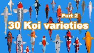 30 Koi Fish varieties types and characteristics part 2 [upl. by Lemkul157]