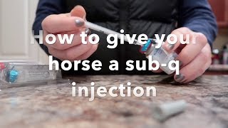 How To Give Your Horse A Subcutaneous Injection [upl. by Winthrop233]