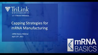 mRNA Basics Capping Strategies for mRNA Manufacturing [upl. by Incrocci]