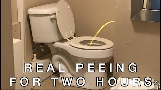 Peeing Sound for TWO HOURS  Bathroom Aid  High Quality Sound [upl. by Marris]