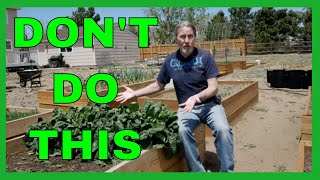 Lessons for Beginner Gardeners 9 Tips [upl. by Sid770]