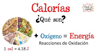 🍔¿Qué son las calorías🔥 Fácil y Rápido  BIOLOGÍA  FÍSICA  QUÍMICA [upl. by Tneciv]