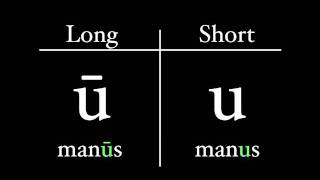 The Latin Alphabet  Vowel Pronunciation [upl. by Longan]