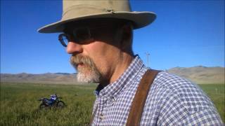 Sainfoin  an Alternative to GMO Alfalfa at Alderspring [upl. by Yaned]