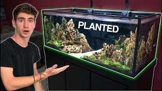 My NEW DREAM AQUARIUM BUILD  Freshwater [upl. by Innavoij]