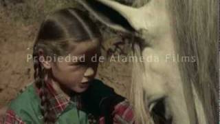 El potro salvaje trailer original The wild horse original trailer [upl. by Odicalp]