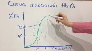 Curva hemoglobina y efecto Bohr [upl. by Laural]