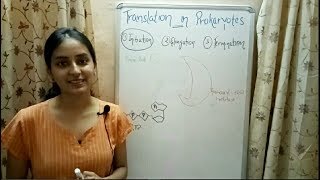 Translation in Prokaryotes  Biology Lecture 11 [upl. by Ykvir]