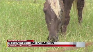 The risks of using ivermectin [upl. by Annoynek]