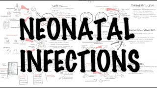 Neonatal Infections  Overview [upl. by Nosecyrb2]