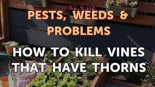 How to Kill Vines That Have Thorns [upl. by Afatsuom83]