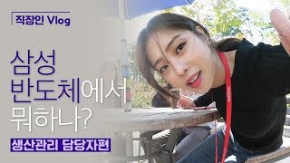 직장인 Vlog 삼성반도체에서 뭐하나 생산관리 담당자편 [upl. by Lerred801]