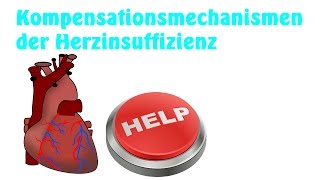 Kompensationsmechanismen der Herzinsuffizienz einfach erklärt [upl. by Roshan]