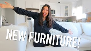 NEW Furniture amp Meet My Boyfriend  Jeanine Amapola [upl. by Libbey]