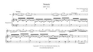 Bach  Siciliano from Sonata BWV 1031  Flute [upl. by Yendis]