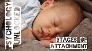 How Babies Form Attachments  Four Stages  Schaffer amp Emerson [upl. by Twyla]