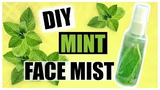 DIY Mint Face Mist for Acne Oily Skin Skin Toner Blackheads amp Dry Skin [upl. by Reynard732]