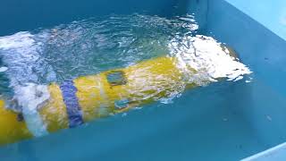 voithschneider propeller on an AUV [upl. by Zeugirdor]