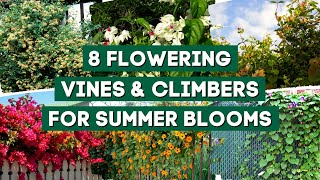 7 Best Flowering Vines amp Climbers to Plant for Summer Blooms 🌺  PlantDo Garden 💚 [upl. by Eadas]