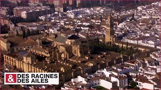 La mosquéecathédrale de Cordoue [upl. by Haliek109]