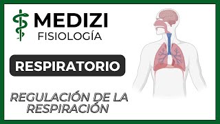 Clase 42 Fisiología Respiratoria  Regulación de la Respiración IGdoctorpaiva [upl. by Ahterod]