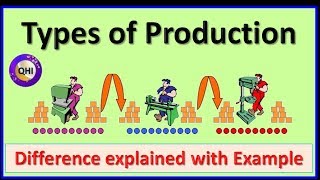 Types of Production  Explained with Example [upl. by Eldon]